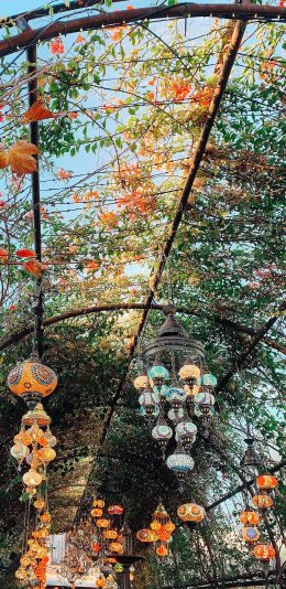 [2436x1125]廊庭 绿植 藤蔓 灯饰 灯具 苹果手机壁纸图片