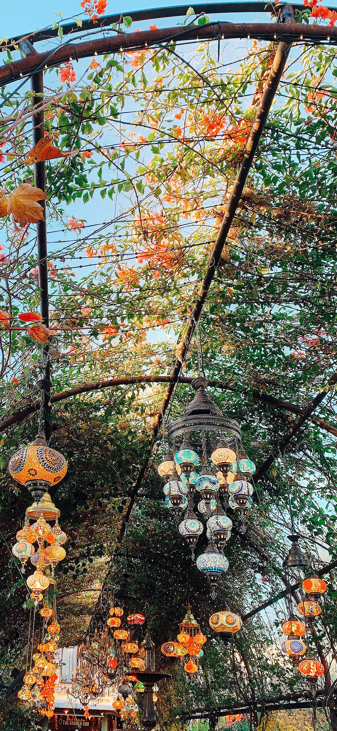 [2436×1125]廊庭 绿植 藤蔓 灯饰 灯具 苹果手机壁纸图片