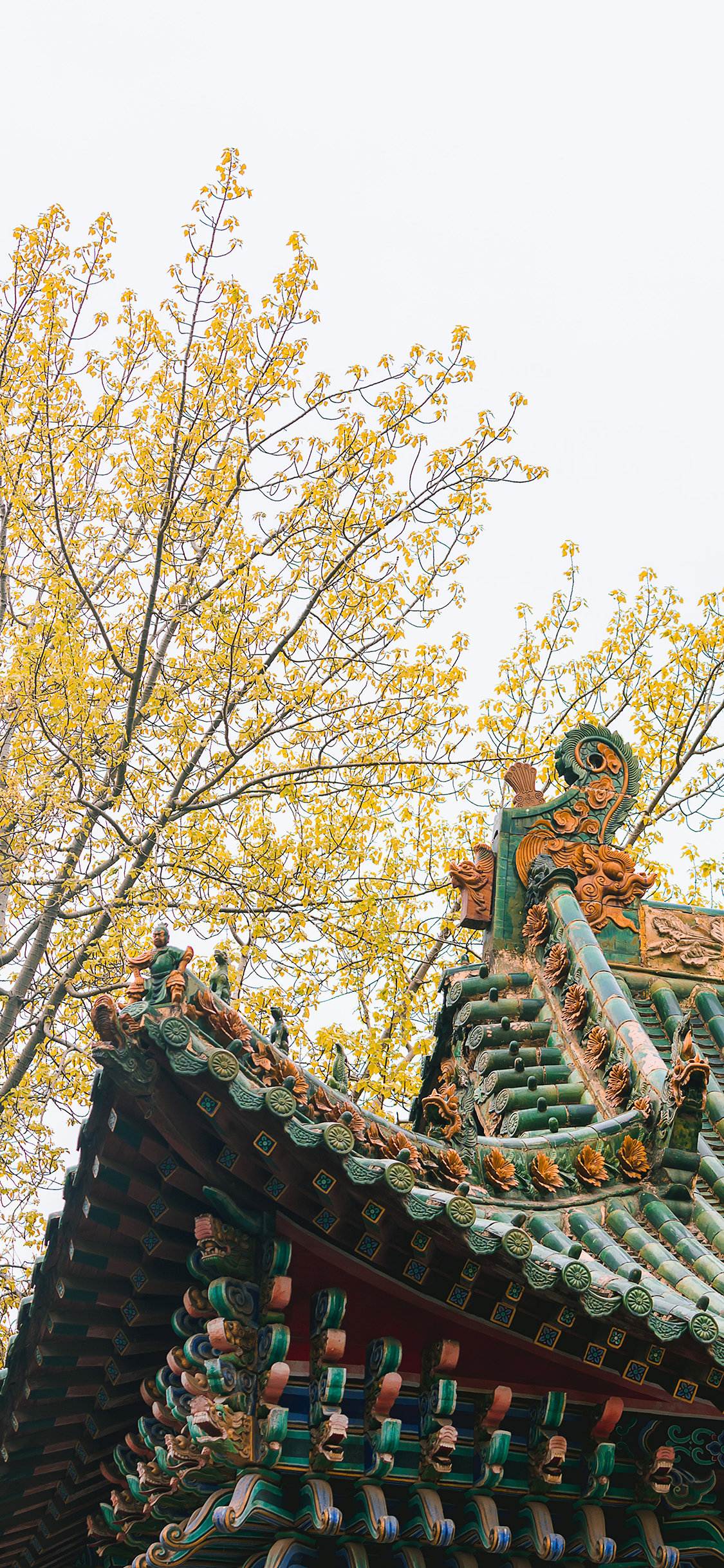 [2436×1125]建筑 古风 屋檐 树木 苹果手机壁纸图片