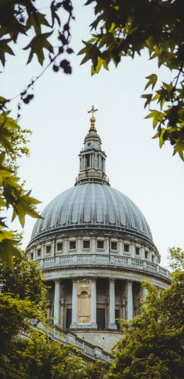 [2436x1125]建筑 城堡 树叶  教堂 苹果手机壁纸图片