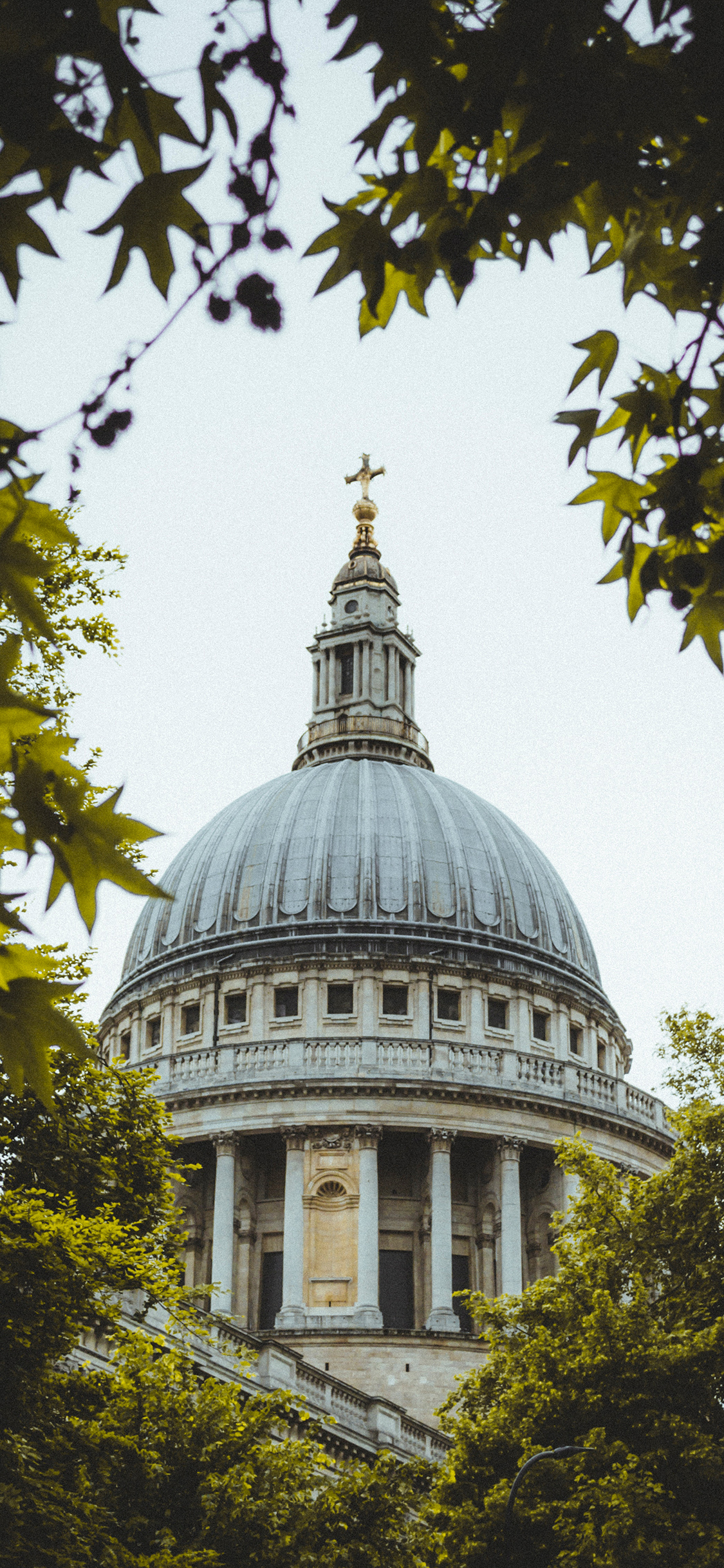 [2436×1125]建筑 城堡 树叶  教堂 苹果手机壁纸图片