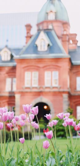 [2436x1125]建筑 城堡 花园 花圃 鲜花 盛开 苹果手机壁纸图片