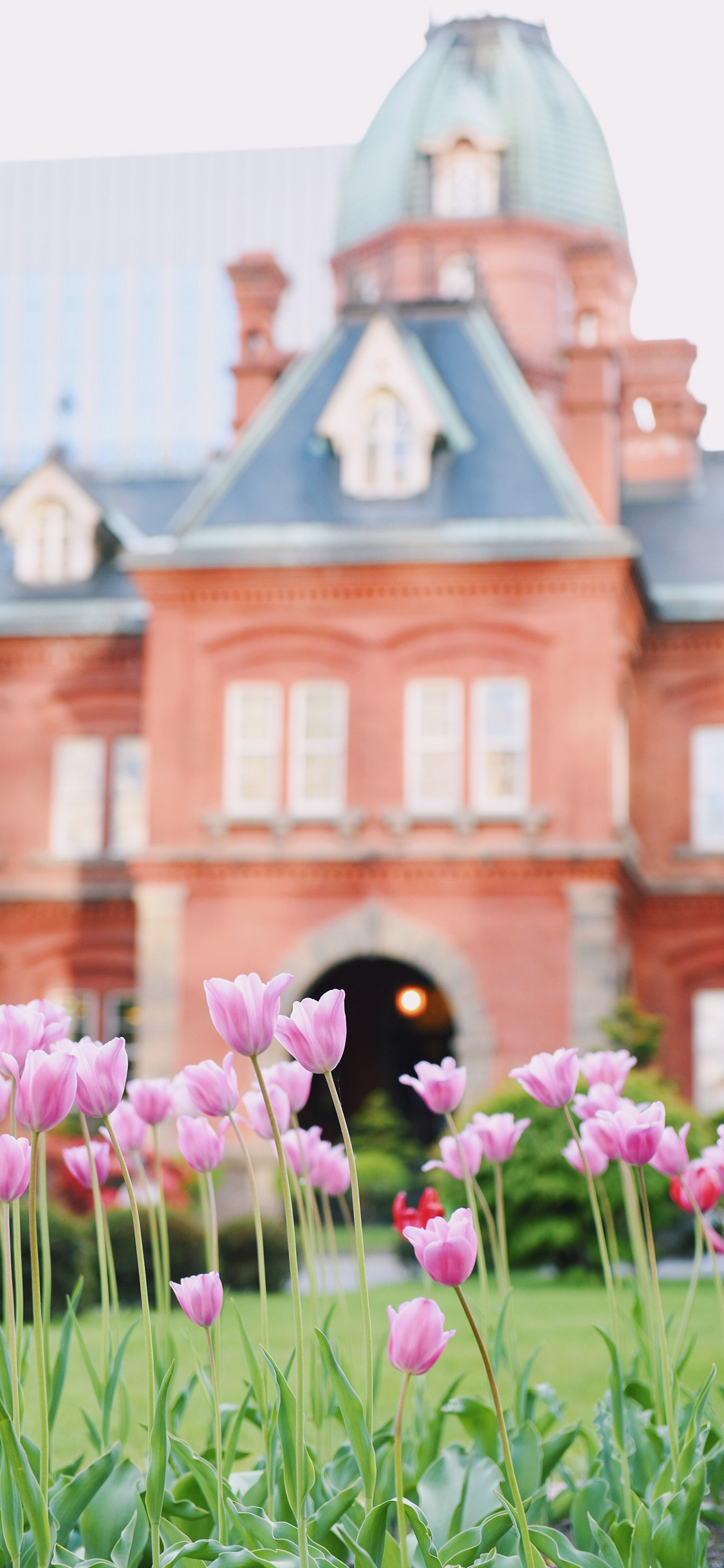 [2436×1125]建筑 城堡 花园 花圃 鲜花 盛开 苹果手机壁纸图片