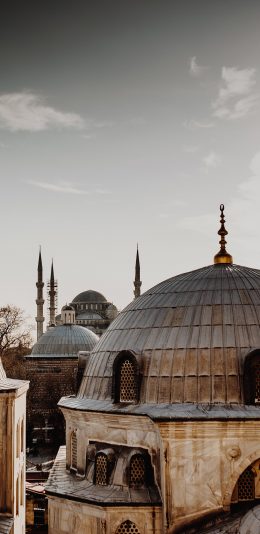 [2436x1125]建筑 屋顶 异国 异域风 城市 苹果手机壁纸图片