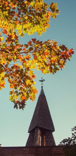 [2436x1125]建筑 屋顶 树木 唯美 苹果手机壁纸图片