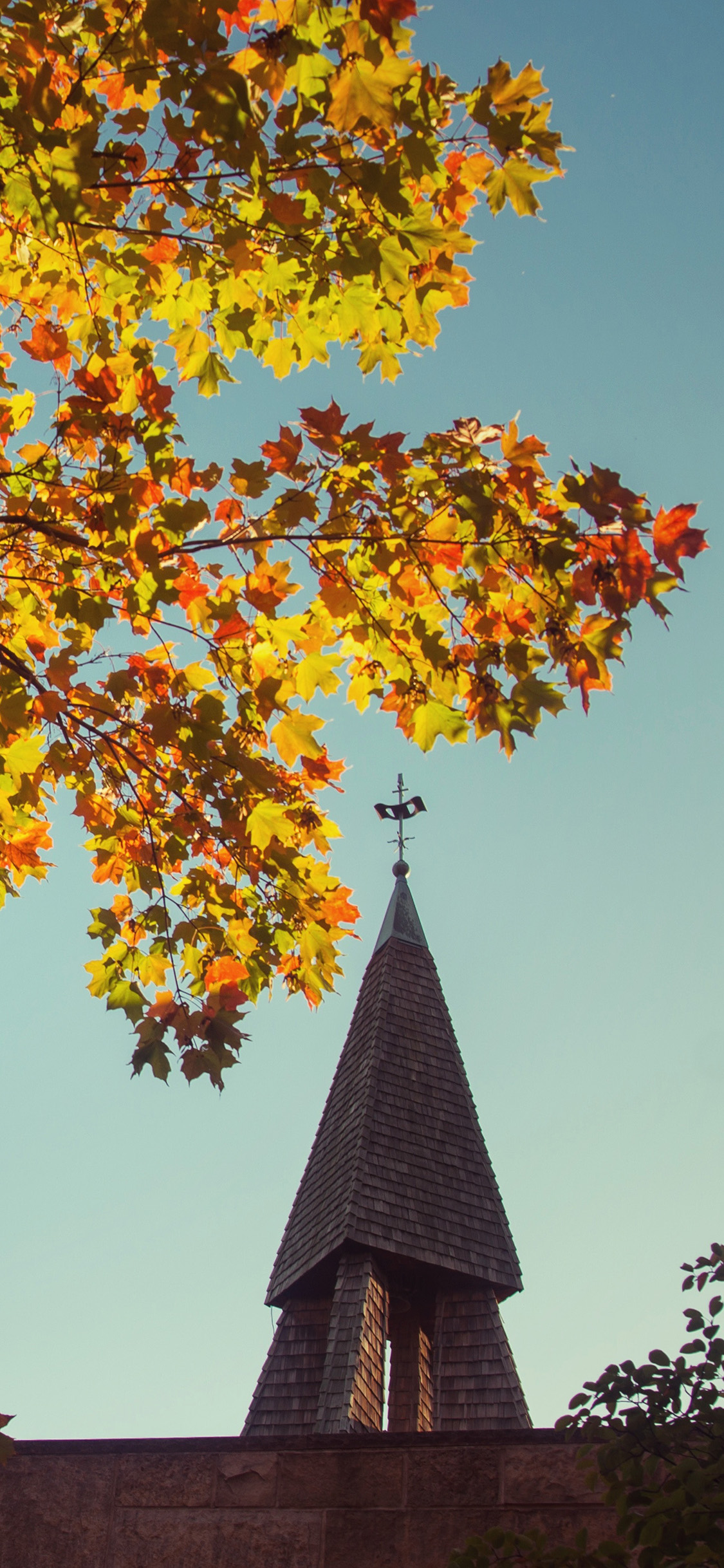 [2436×1125]建筑 屋顶 树木 唯美 苹果手机壁纸图片