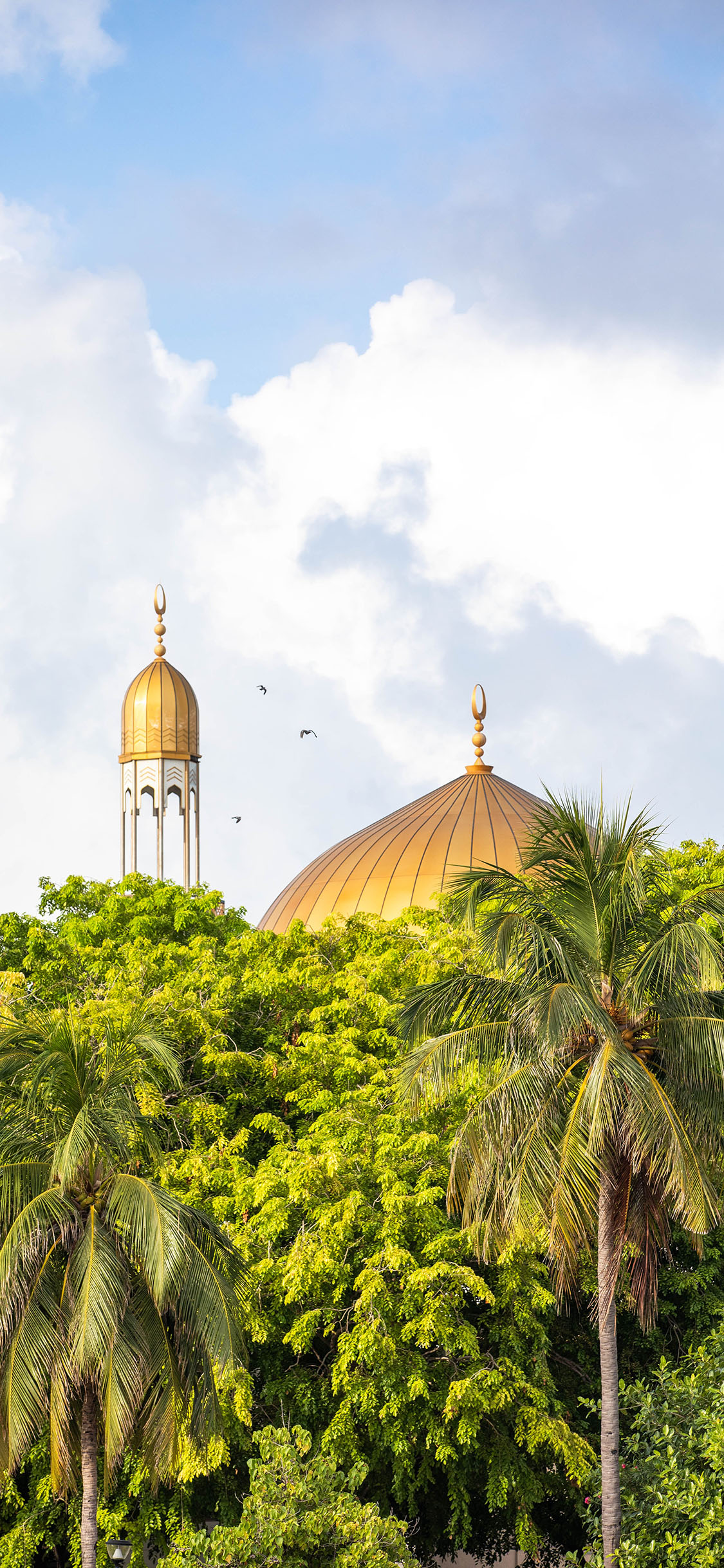 [2436×1125]建筑 屋顶 树木 园林 苹果手机壁纸图片