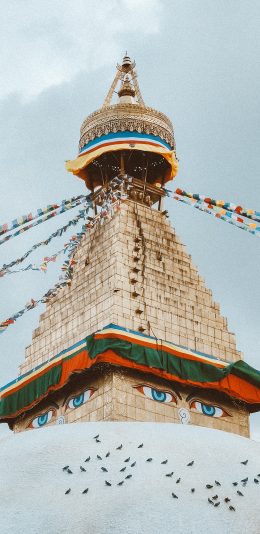[2436x1125]建筑 屋顶 民族特色 鸽子 苹果手机壁纸图片