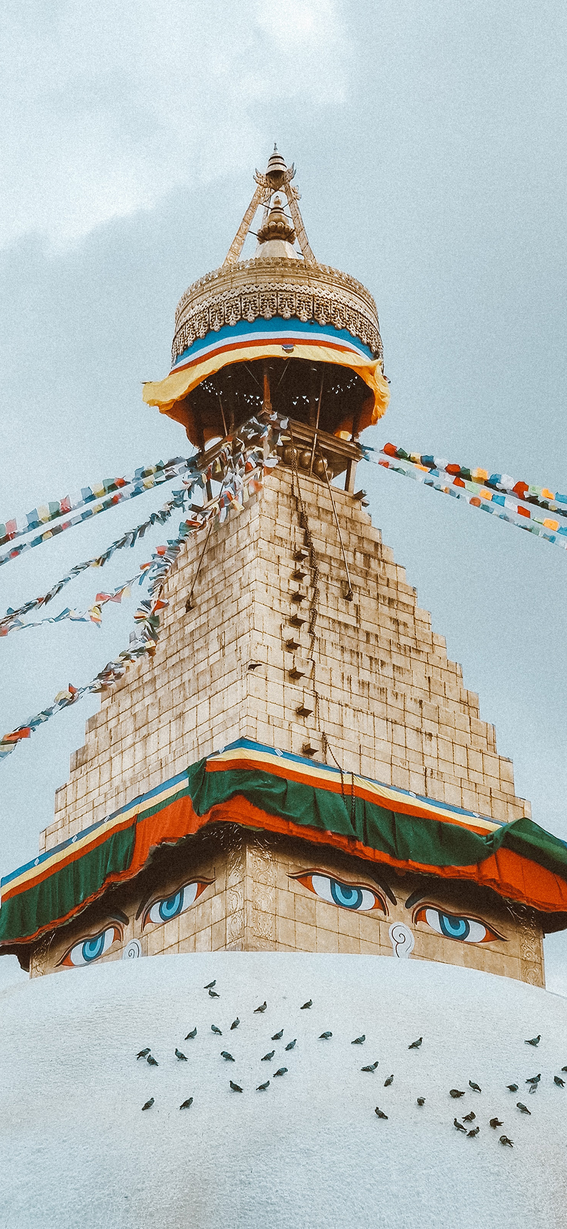 [2436×1125]建筑 屋顶 民族特色 鸽子 苹果手机壁纸图片