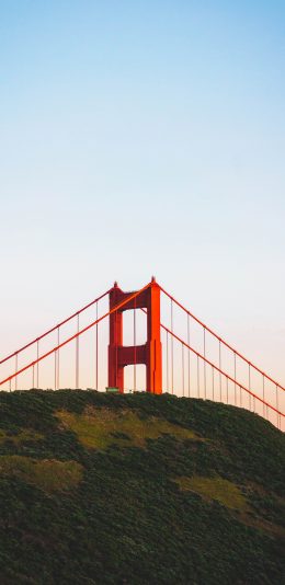 [2436x1125]建筑 山坡 桥梁 金门大桥 旧金山 苹果手机壁纸图片