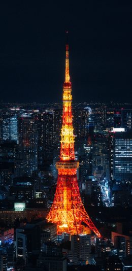 [2436x1125]建筑 巴黎铁塔 城市 夜景 苹果手机壁纸图片