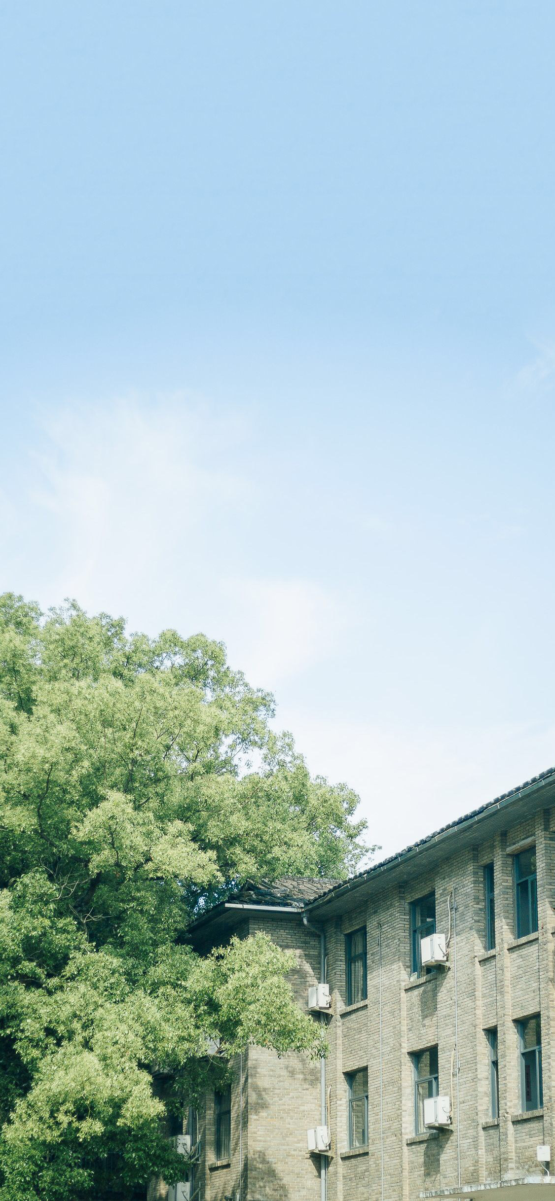 [2436×1125]建筑 房屋 大树 小清新 苹果手机壁纸图片