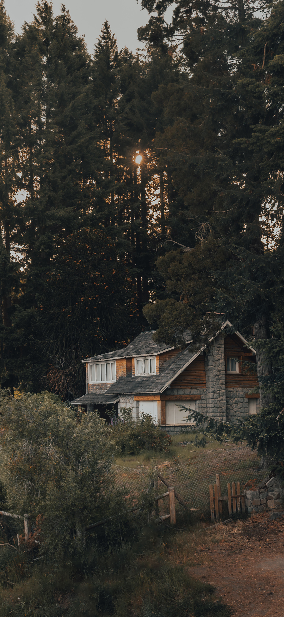 [2436×1125]建筑 房屋 树林 郊外 苹果手机壁纸图片