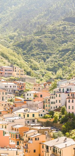 [2436x1125]建筑 景色 房屋 住宅 依山 苹果手机壁纸图片