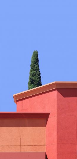 [2436x1125]建筑 树木 几何 色彩 简约 苹果手机壁纸图片