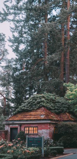 [2436x1125]建筑 树林 房屋 绿植 农家 苹果手机壁纸图片