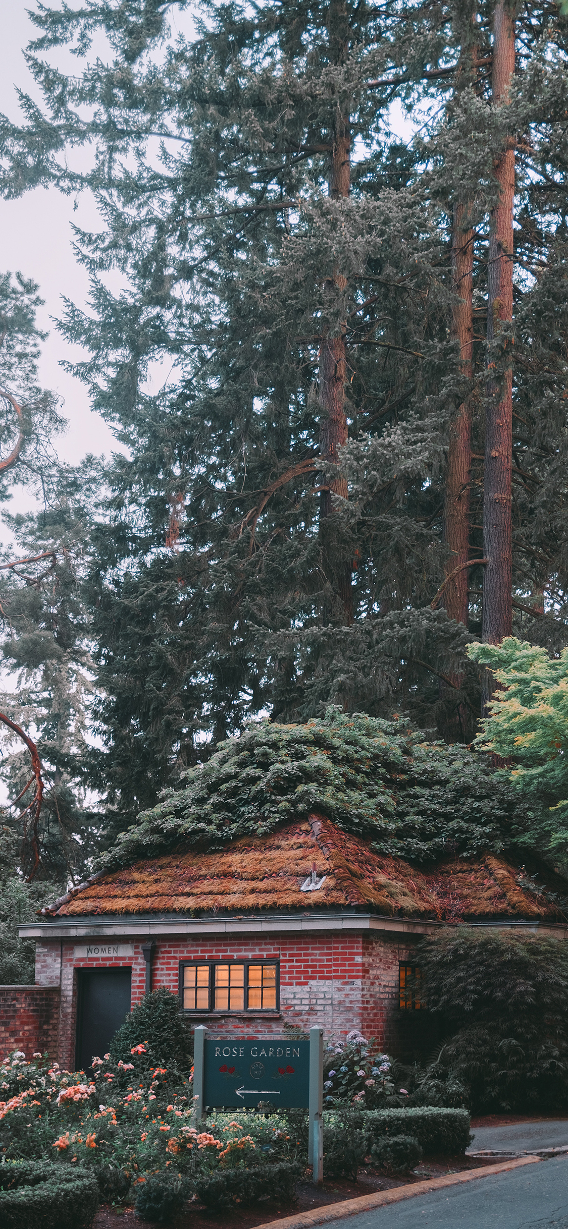 [2436×1125]建筑 树林 房屋 绿植 农家 苹果手机壁纸图片