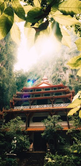 [2436x1125]建筑 树林 避世 高耸 塔楼 苹果手机壁纸图片