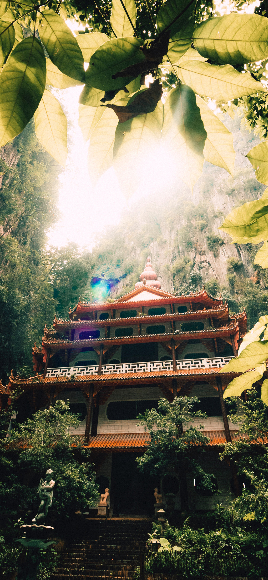 [2436×1125]建筑 树林 避世 高耸 塔楼 苹果手机壁纸图片