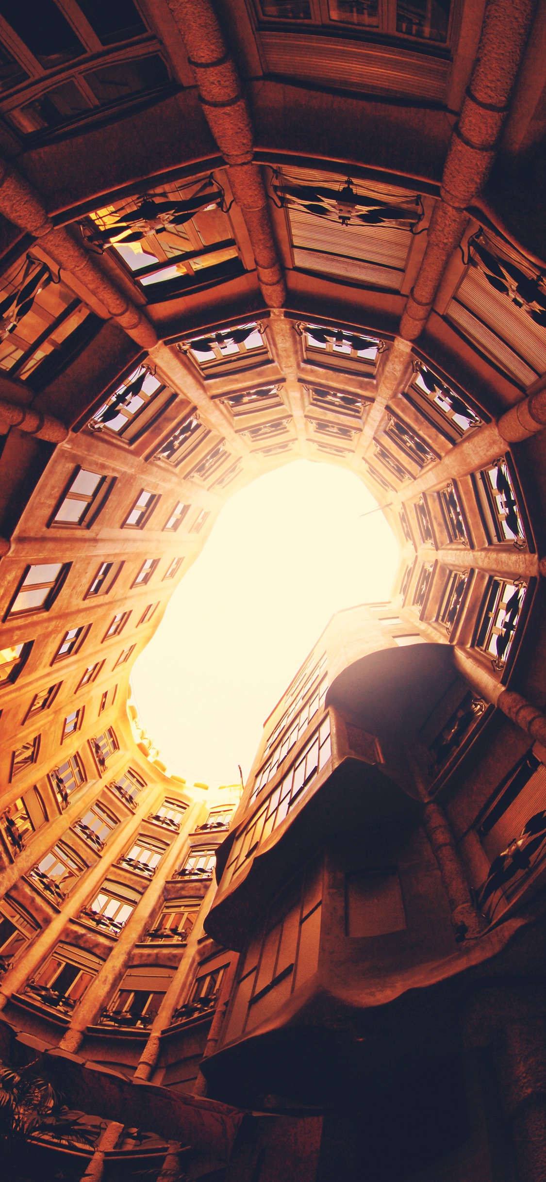 [2436×1125]建筑 楼房 光 仰视 窗户 苹果手机壁纸图片