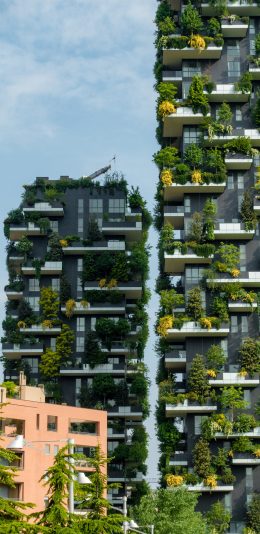 [2436x1125]建筑 楼房 绿化 现代 绿植 苹果手机壁纸图片