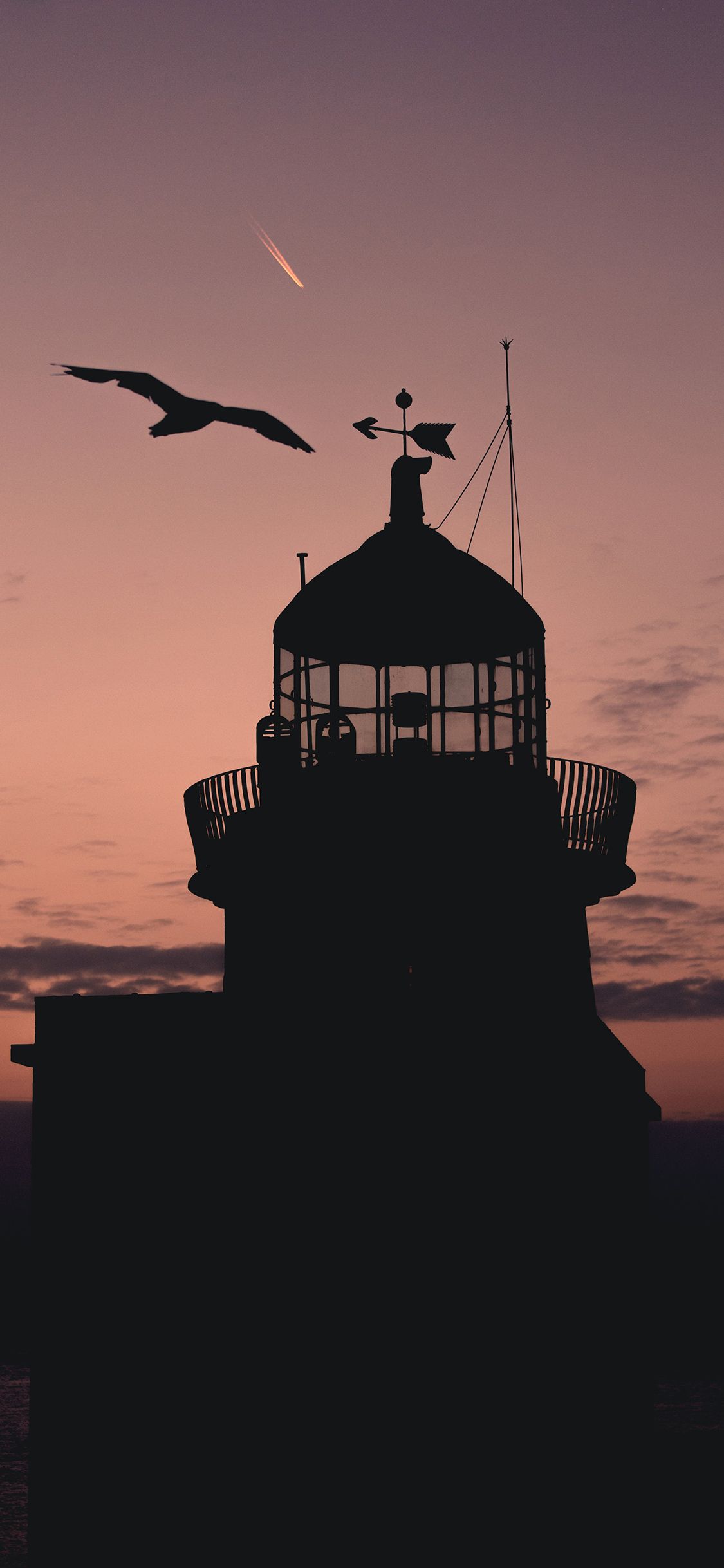 [2436×1125]建筑 灯塔 傍晚 飞鸟 苹果手机壁纸图片