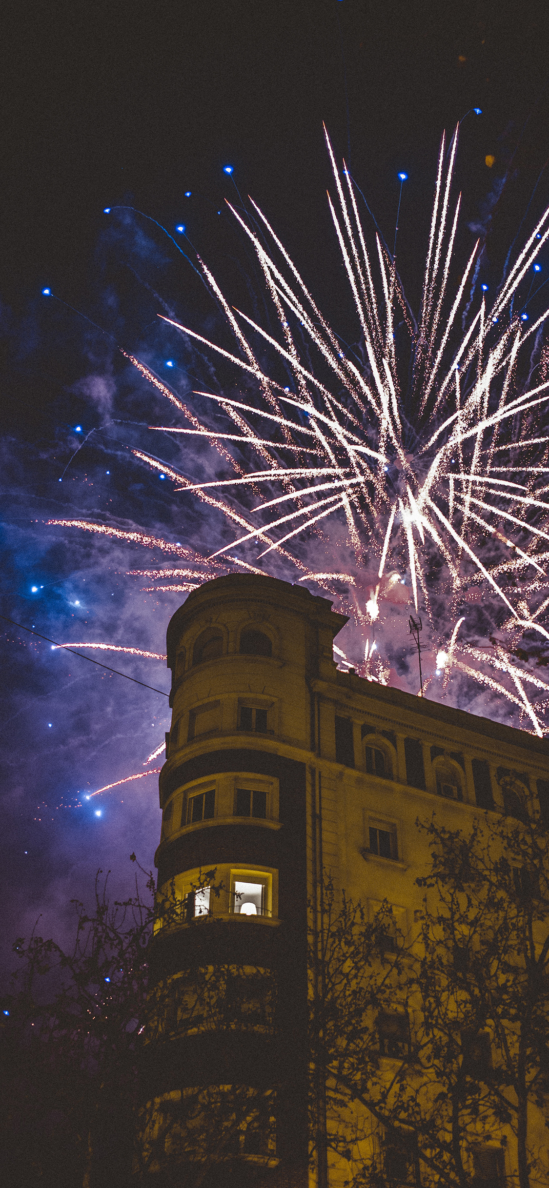 [2436×1125]建筑 烟花 璀璨 绽放 夜晚 苹果手机壁纸图片