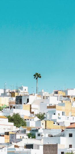 [2436x1125]建筑 蔚蓝 蓝天 楼房 苹果手机壁纸图片