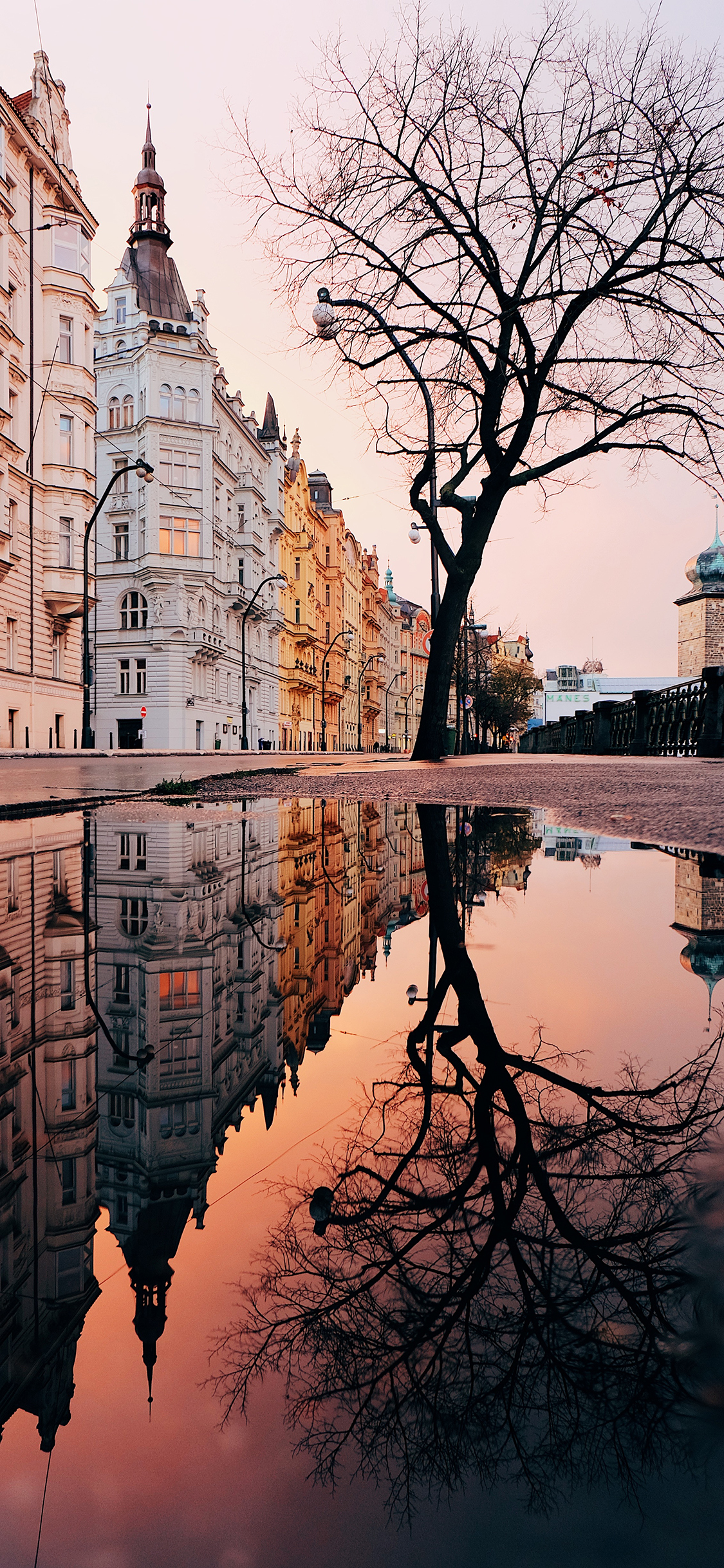 [2436×1125]建筑 设计 倒映 树木 苹果手机壁纸图片