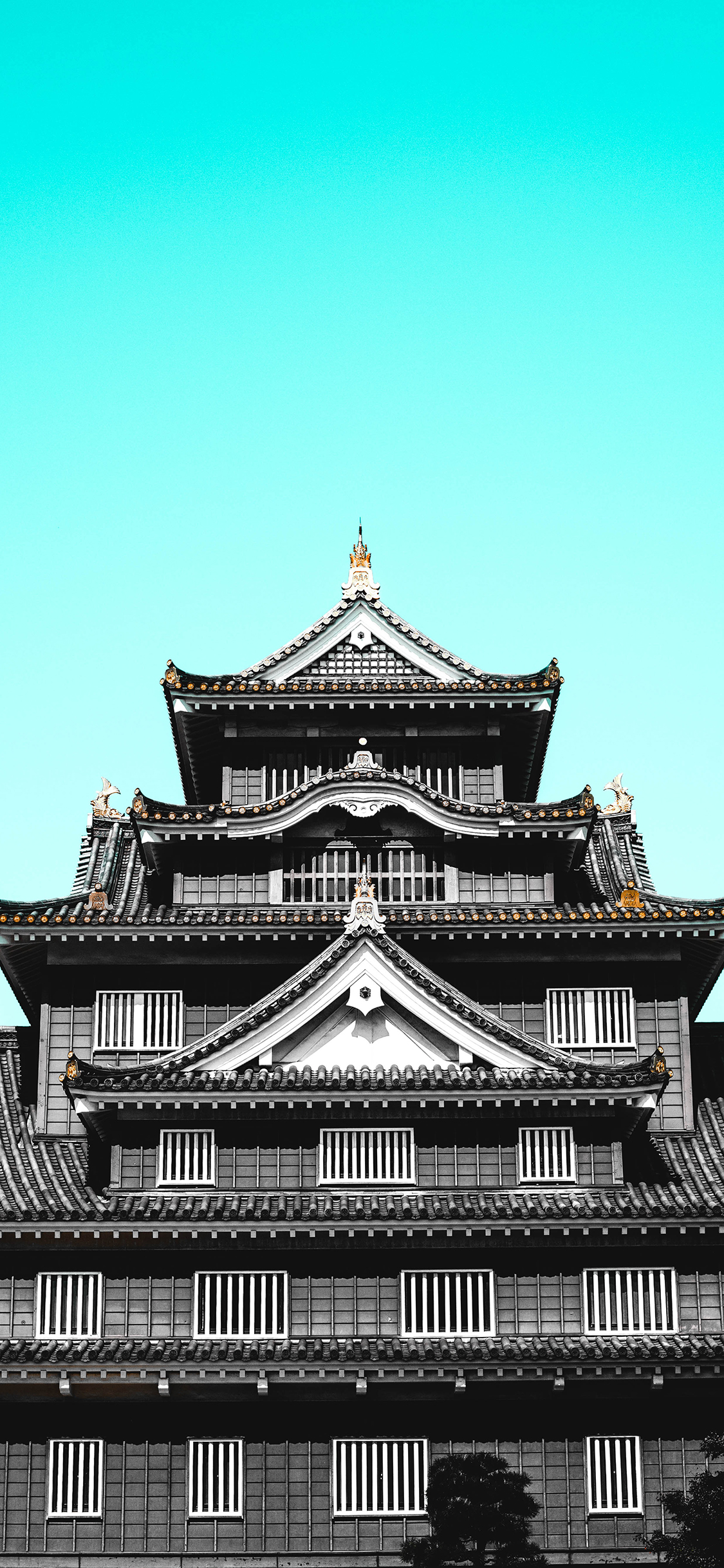 [2436×1125]建筑 设计 建筑 复古 苹果手机壁纸图片