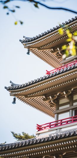 [2436x1125]建筑 设计 浅草寺 日本  塔楼