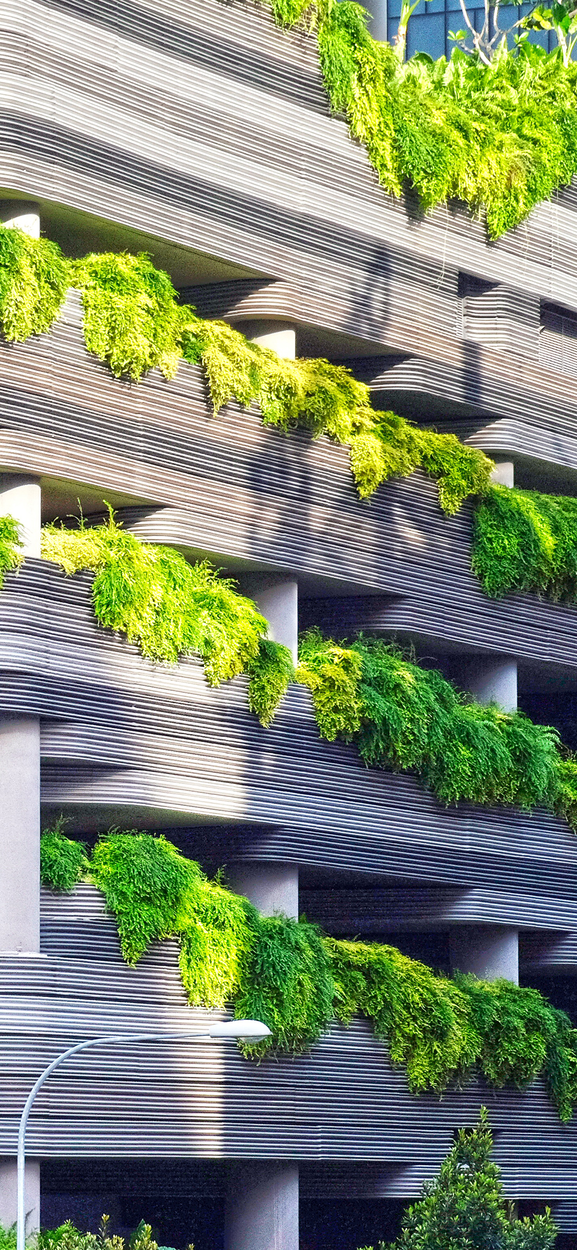 [2436×1125]建筑 设计 生态 层叠 苹果手机壁纸图片