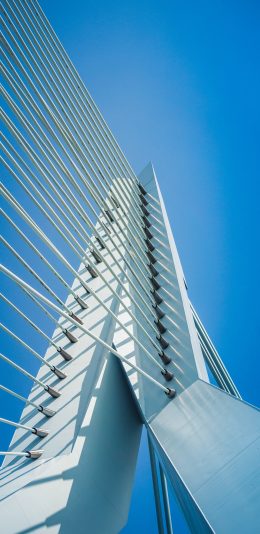 [2436x1125]建筑 设计 钢丝 线条 苹果手机壁纸图片