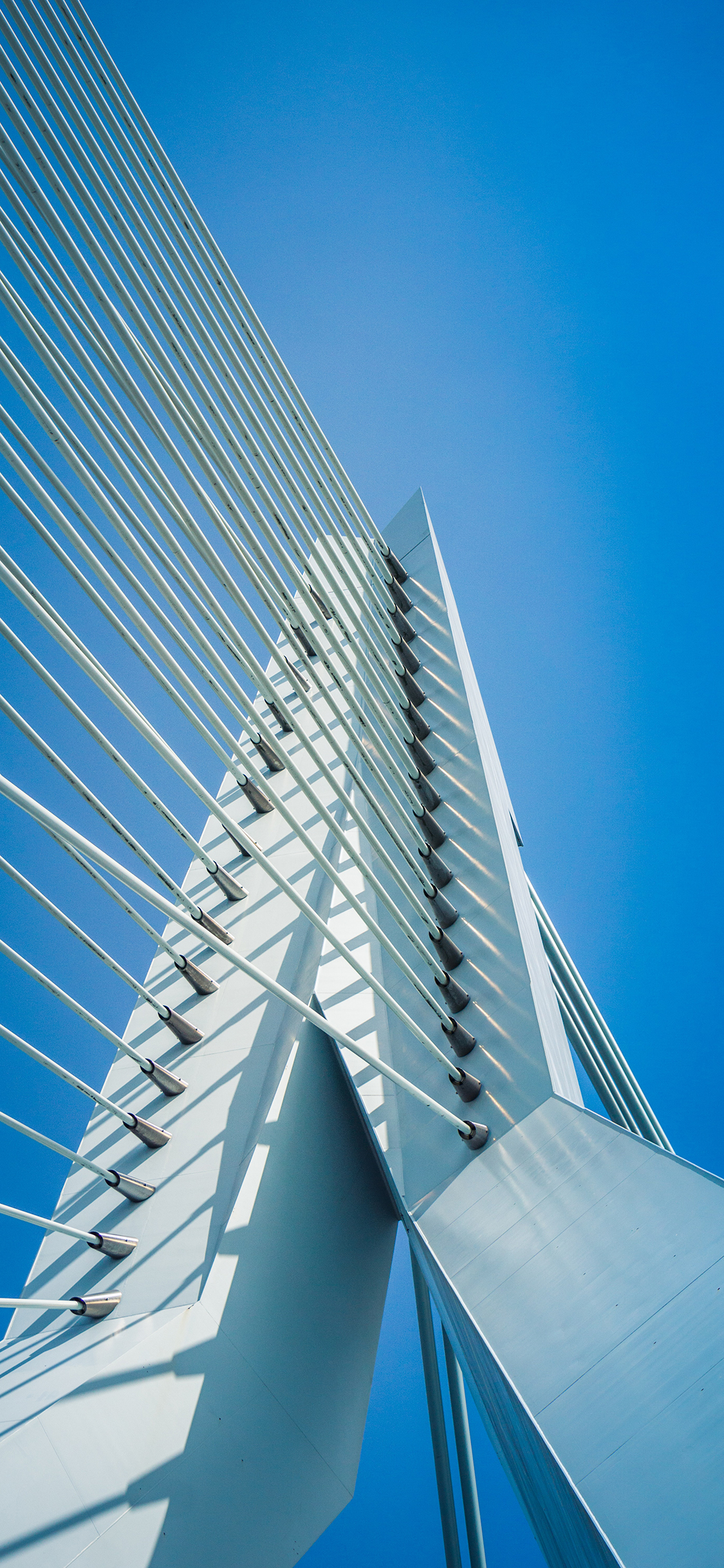 [2436×1125]建筑 设计 钢丝 线条 苹果手机壁纸图片