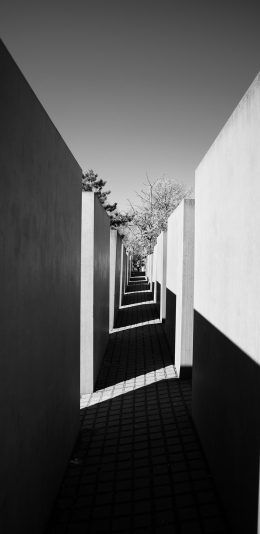 [2436x1125]建筑 走廊 黑白 阳光 苹果手机壁纸图片