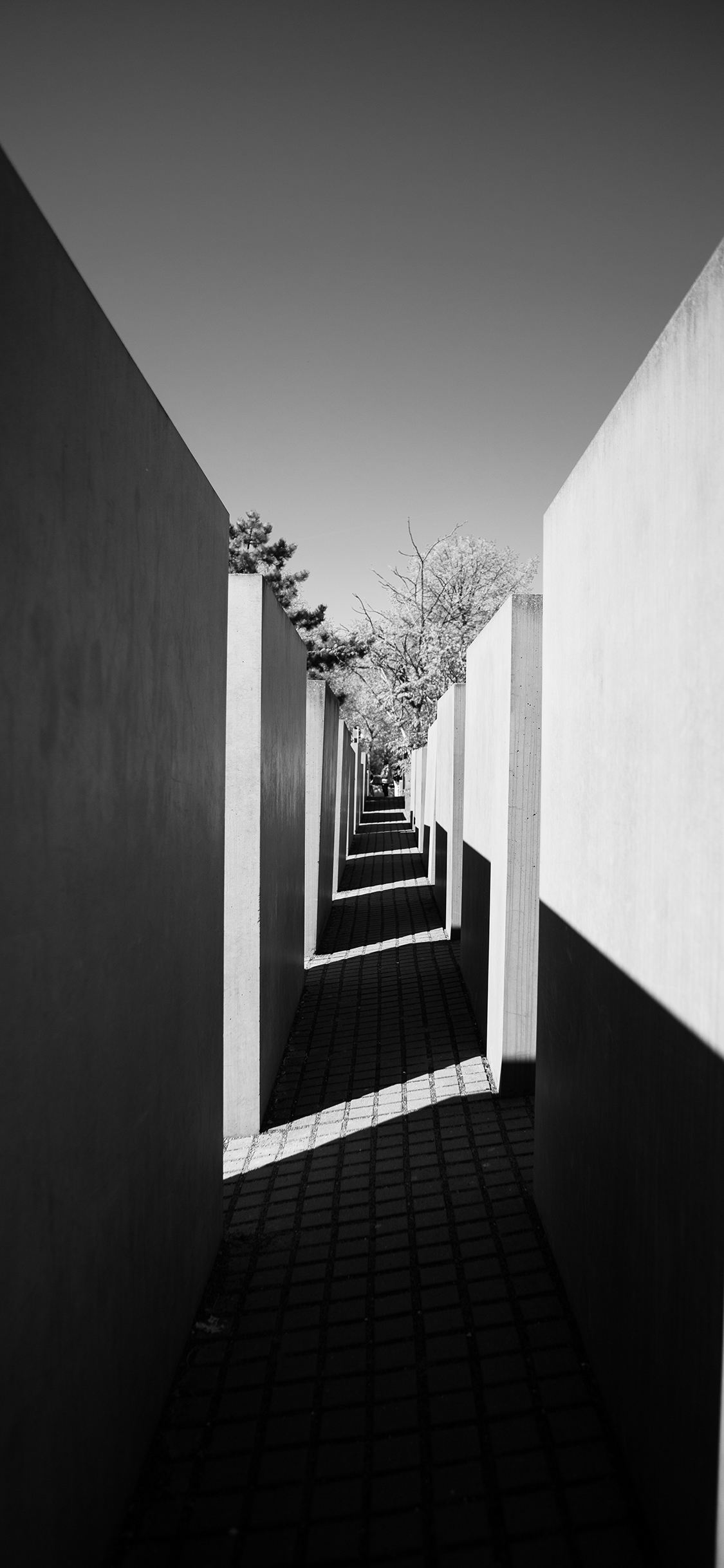 [2436×1125]建筑 走廊 黑白 阳光 苹果手机壁纸图片