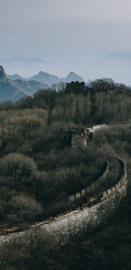 [2436x1125]建筑 长城 树木 俯拍 苹果手机壁纸图片