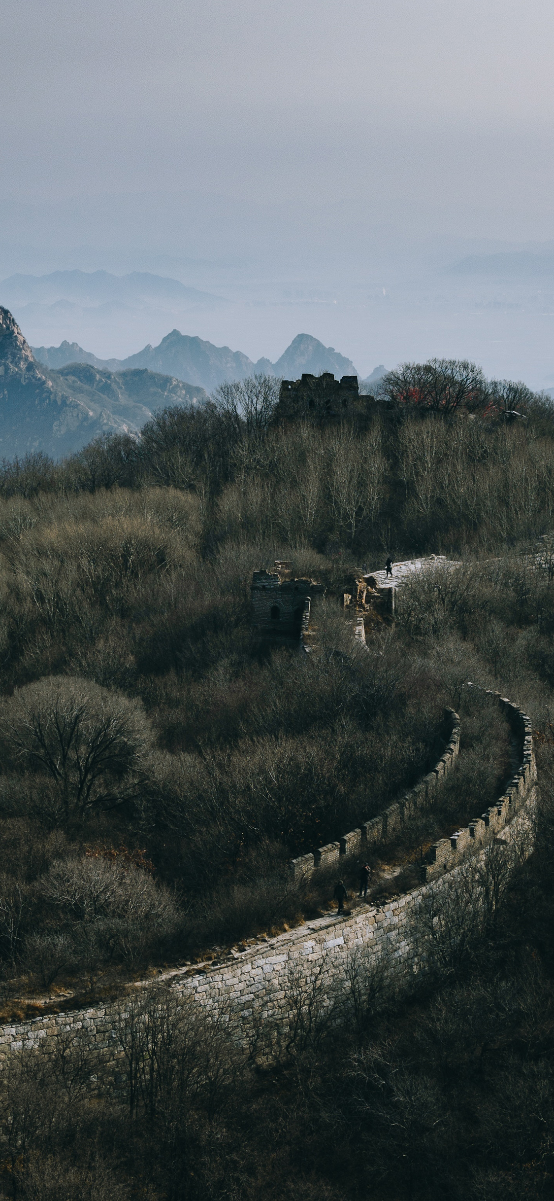 [2436×1125]建筑 长城 树木 俯拍 苹果手机壁纸图片