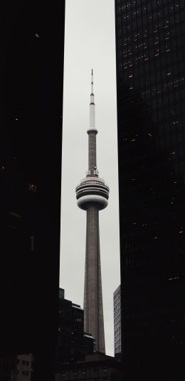 [2436x1125]建筑 高楼 明珠塔 居中 苹果手机壁纸图片