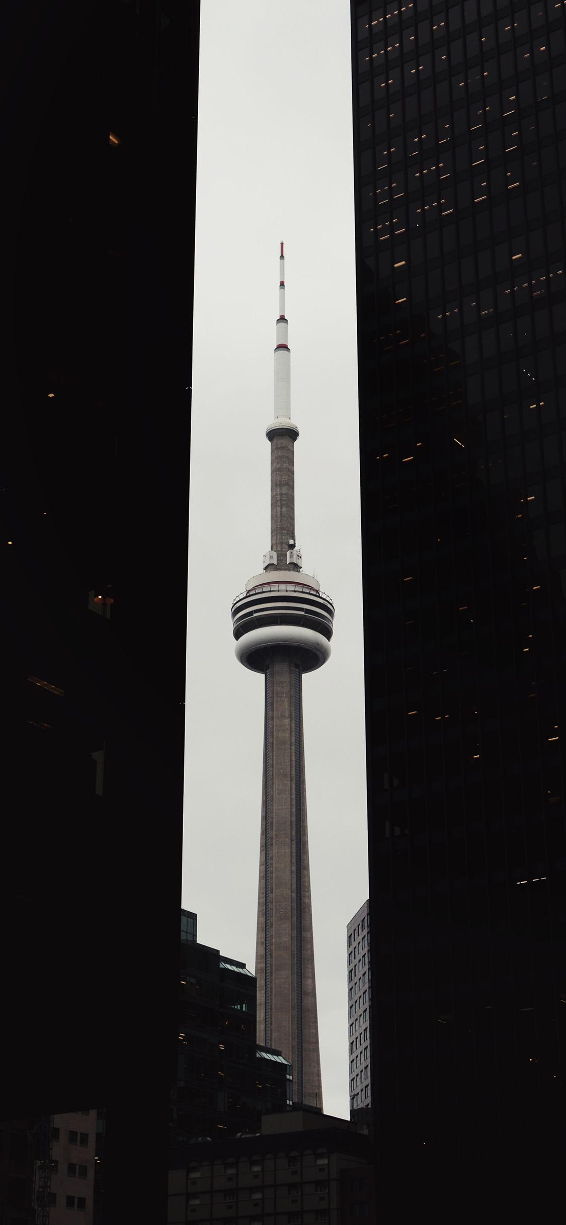 [2436×1125]建筑 高楼 明珠塔 居中 苹果手机壁纸图片