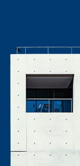 [2436x1125]建筑 高楼 白色 长方 苹果手机壁纸图片