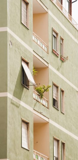 [2436x1125]建筑 高楼 绿色 绿植 苹果手机壁纸图片