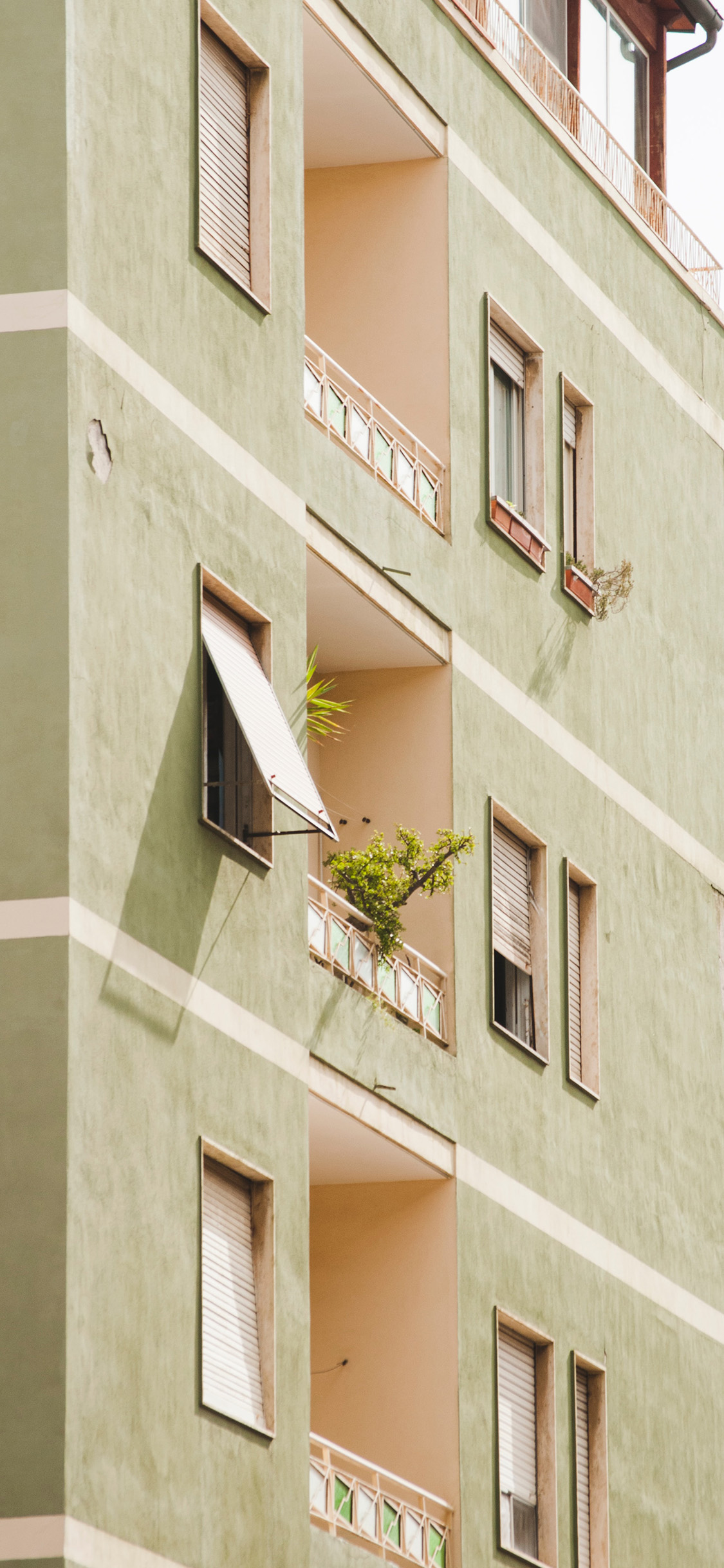 [2436×1125]建筑 高楼 绿色 绿植 苹果手机壁纸图片
