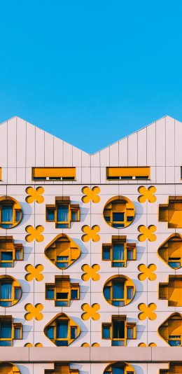 [2436x1125]建筑 高楼 设计 黄色窗户