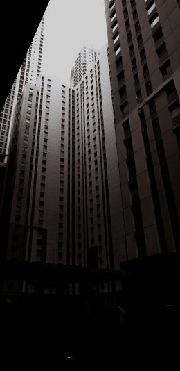 [2436x1125]建筑 高楼大厦 楼房 苹果手机壁纸图片