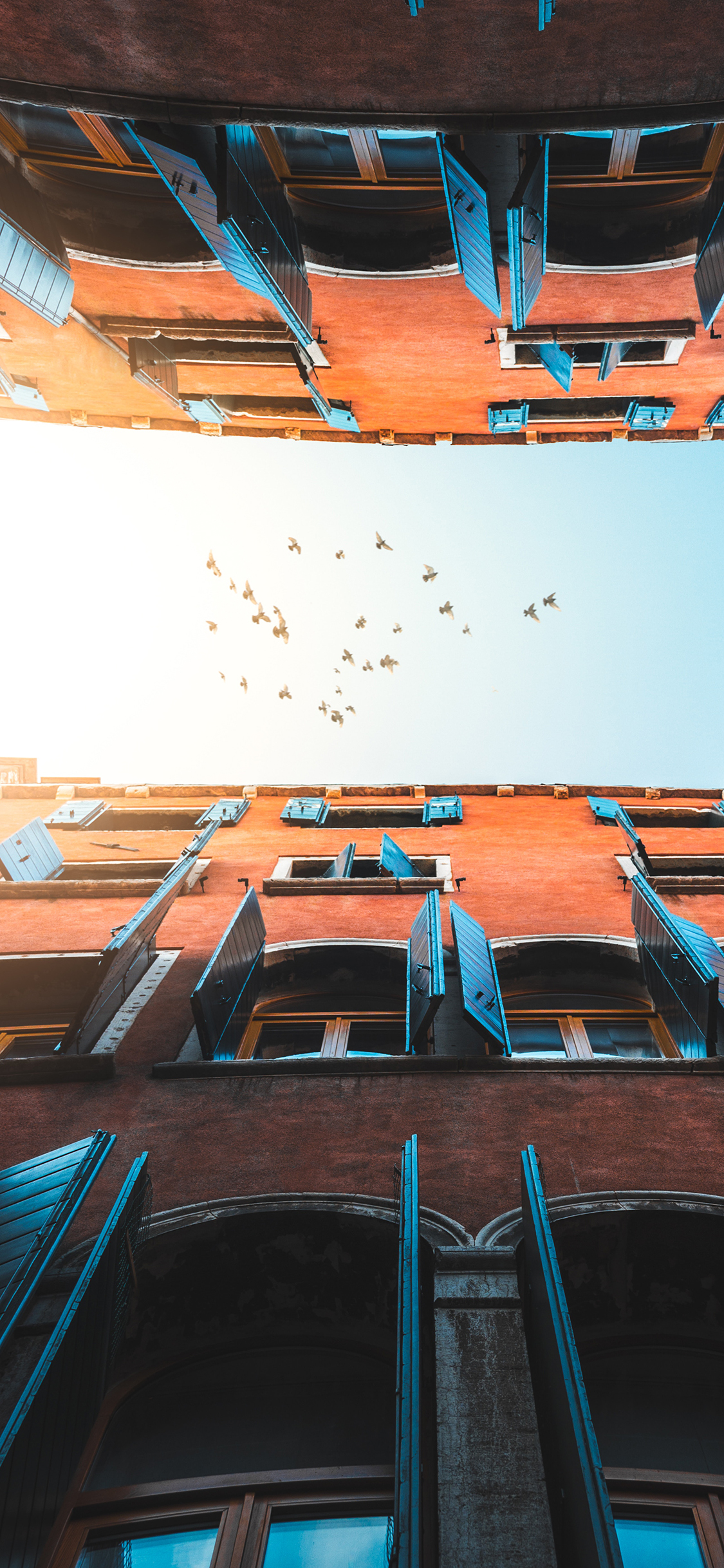 [2436×1125]建筑 鸟 仰视 天空 楼房 苹果手机壁纸图片