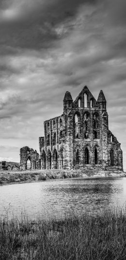 [2436x1125]异域 欧式建筑 黑白 古迹 苹果手机壁纸图片