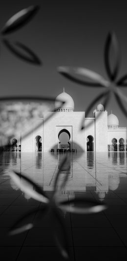 [2436x1125]异域 风情 建筑 黑白 苹果手机壁纸图片
