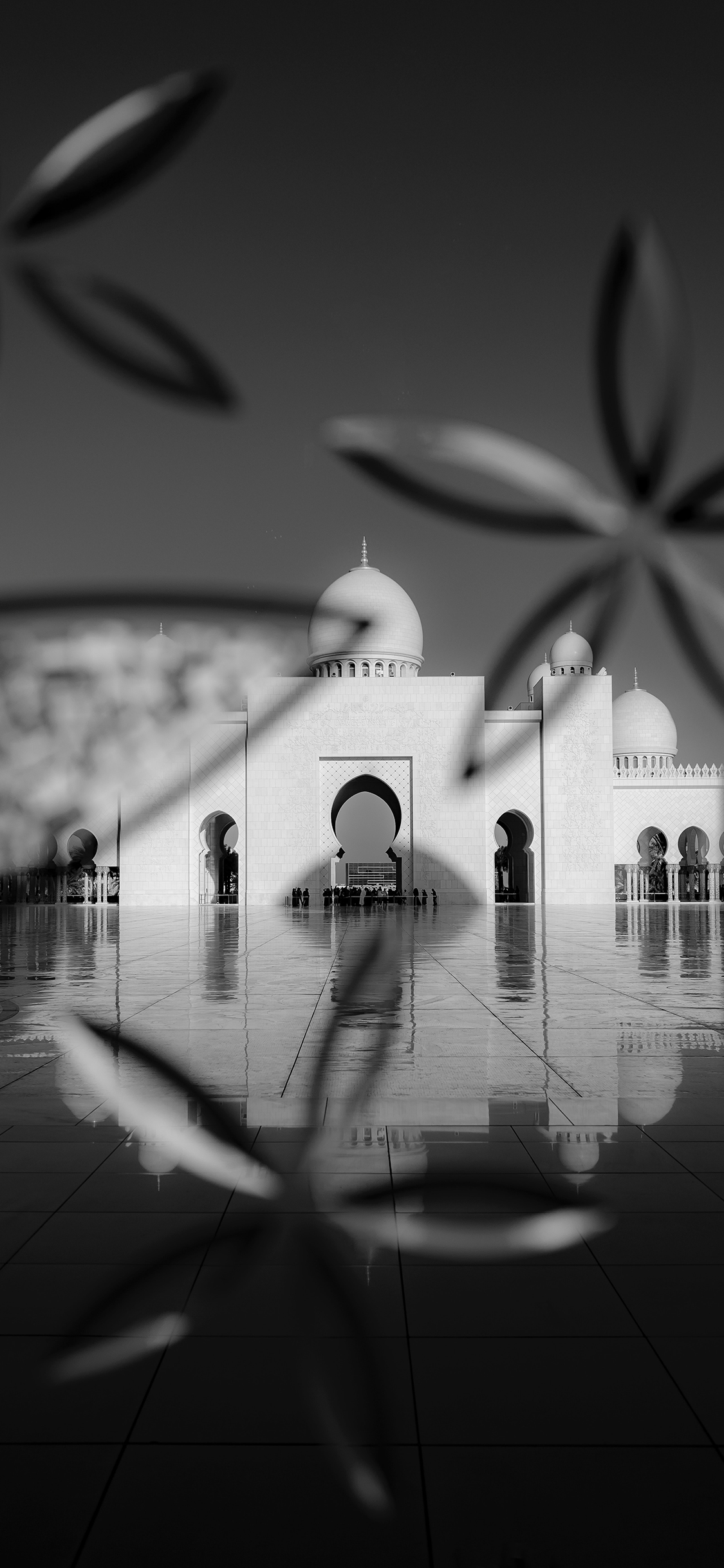[2436×1125]异域 风情 建筑 黑白 苹果手机壁纸图片