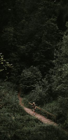 [2436x1125]户外 山林 锻炼 大自然 苹果手机壁纸图片